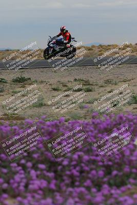 media/Jan-14-2023-SoCal Trackdays (Sat) [[497694156f]]/Turn 14 Exit Bloomig (145pm)/